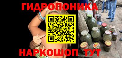 бошки Кинель