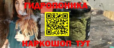 круглые Кингисепп