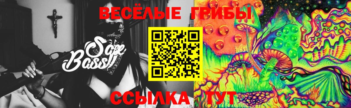 Галлюциногенные грибы GOLDEN TEACHER Краснодар